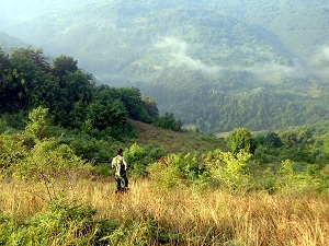 planina_ruj_babusnica